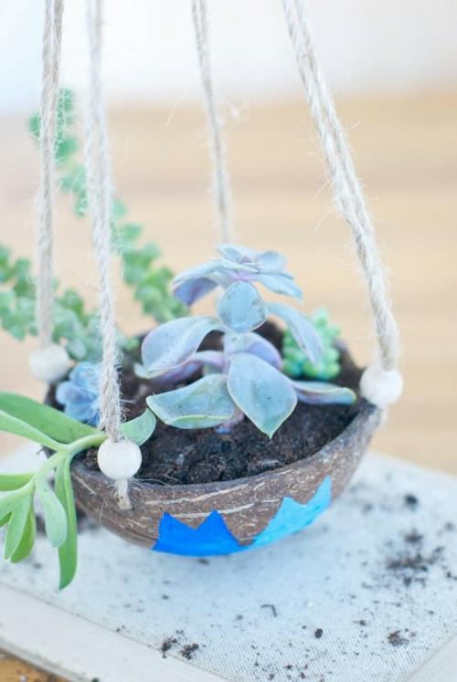 pot de fleurs suspendu pour succulentes