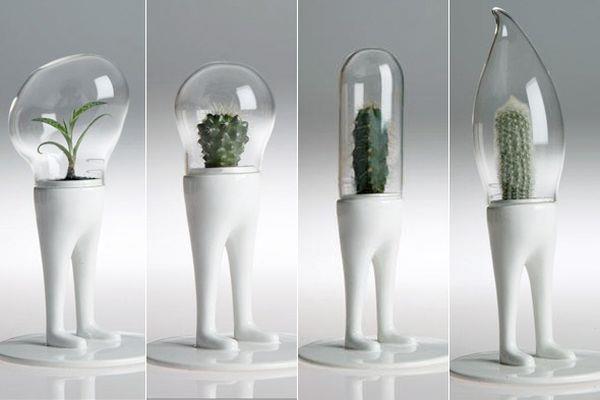 pots de fleurs suspendus plantes d'intérieur alien matteo cibic