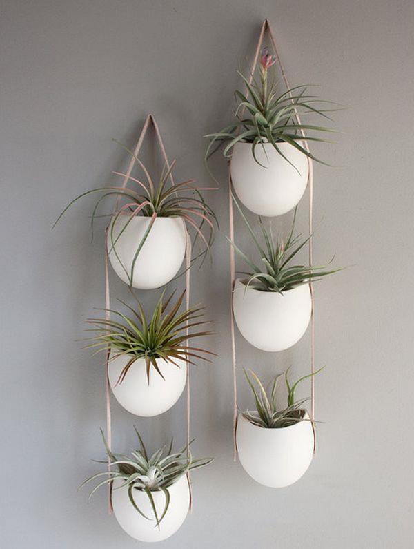 pots de fleurs suspendus plantes d'intérieur succulentes aérées décoration murale