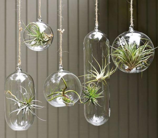 pots de fleurs suspendus plantes d'intérieur terrarium aéré plantes succulentes en verre