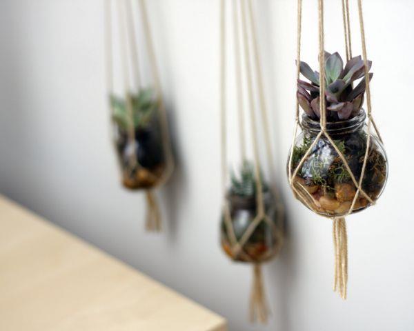 pots de fleurs suspendus plantes d'intérieur décoration murale succulentes