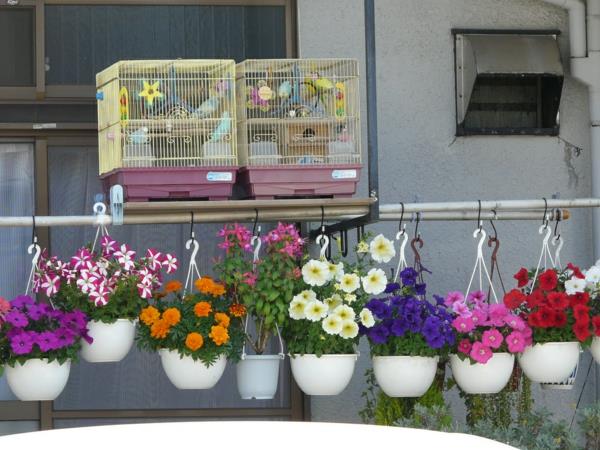 Jardin suspendu sur cage d'attribution en forme de balcon