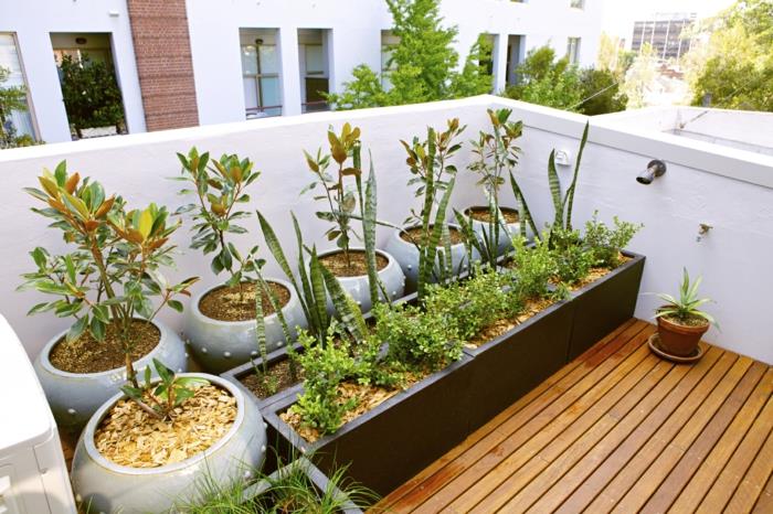 lits surélevés design élégant bacs à plantes ronds créent une terrasse