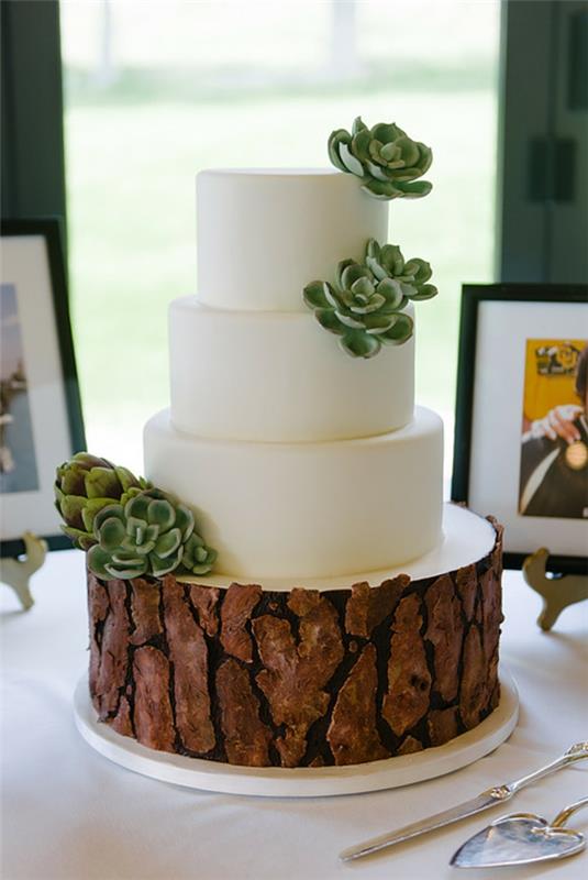 gâteaux de mariage aspect bois naturel succulentes séquoia blanc glaze
