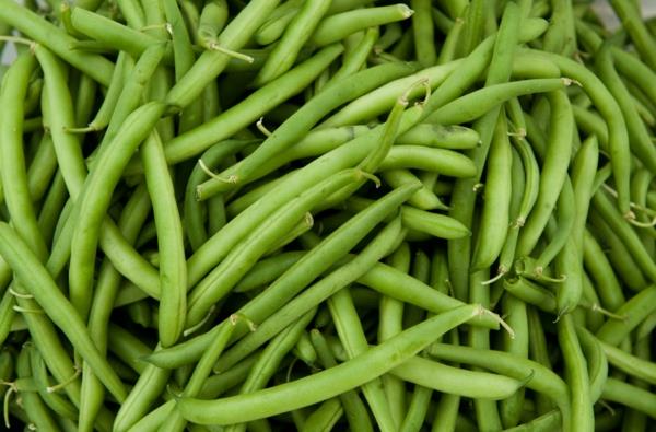 signe du zodiaque Gémeaux correspondant nutrition haricots verts