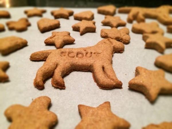 Faites vous-même des biscuits pour chiens idées de friandises pour chiens