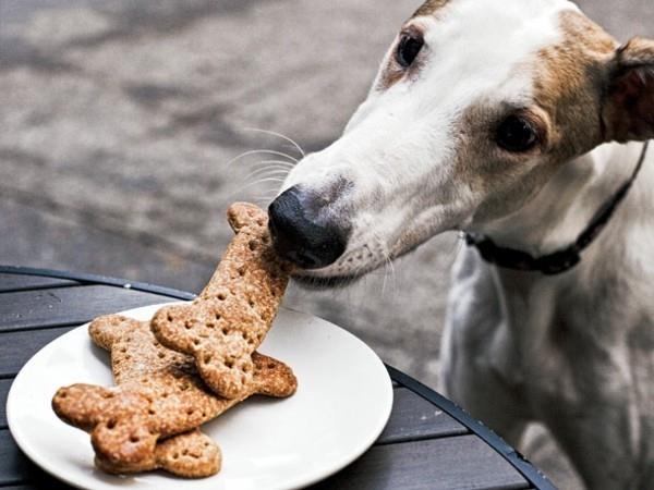 Faites vous-même des biscuits pour chiens, des friandises savoureuses pour chiens