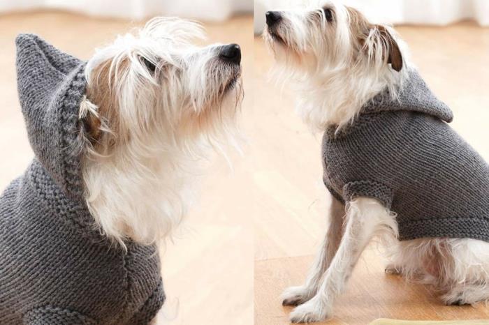sweter z dzianiny dla psa z kapturem