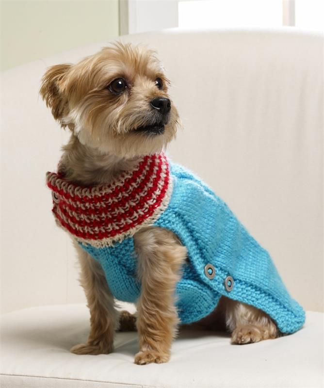 sweter z dzianiny dla psa z kołnierzem