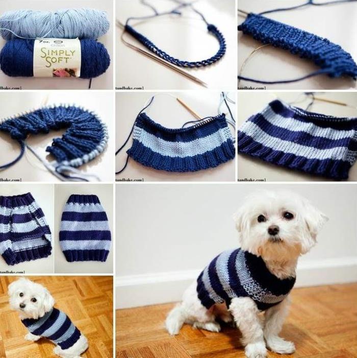 samouczek na drutach dla psa