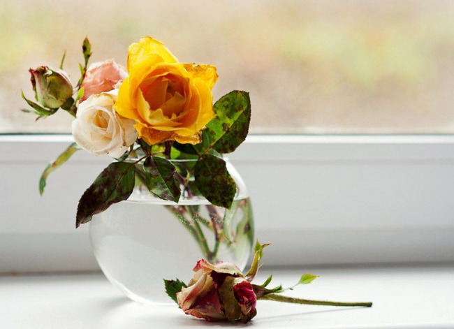مزهرية زجاجية شفافة لردة صغيرة