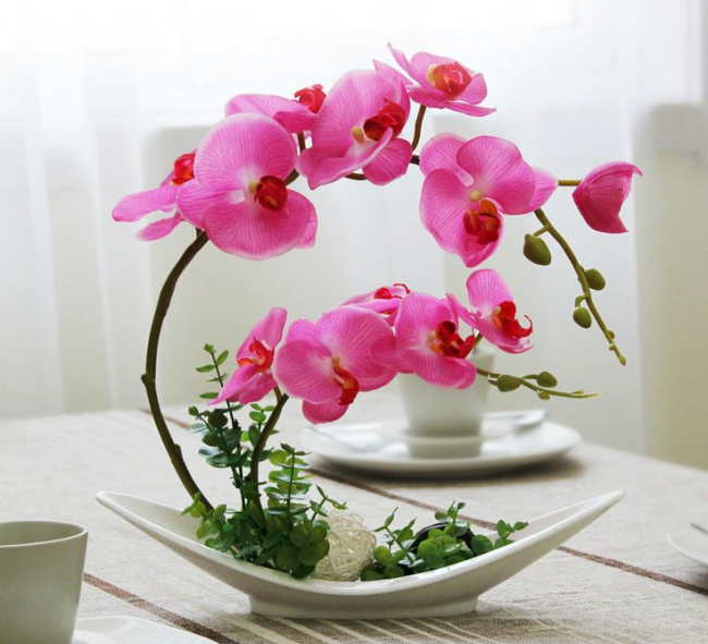 Krásná malá kompozice s orchidejí