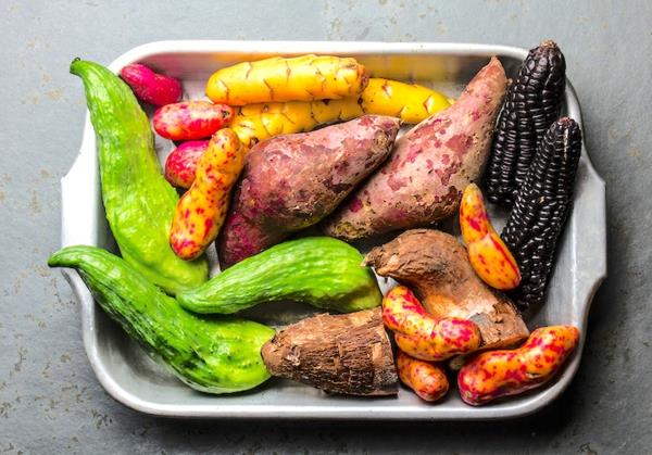 Le concombre Inca prépare des légumes sains