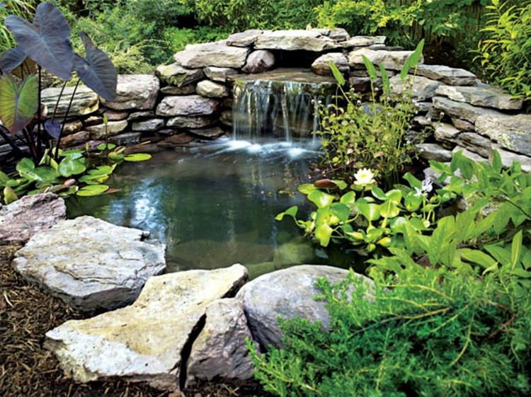 images d'étang de jardin inspirantes conception de jardin avec des pierres