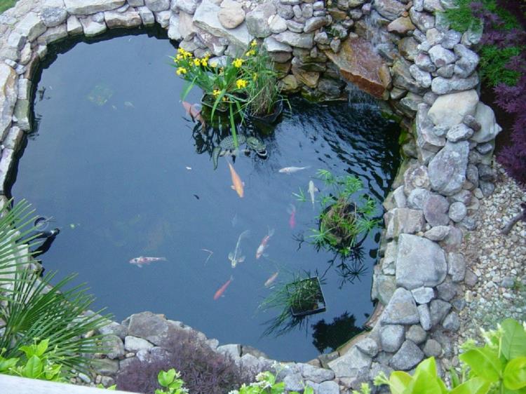 images inspirantes d'étang de jardin idées de jardin étang avec des poissons étang à poissons