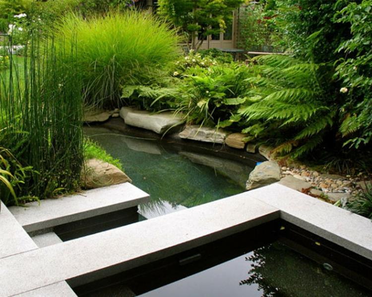 images d'étang de jardin inspirantes conception de jardin moderne