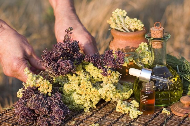 Aromatische Öle werden oft verwendet, um Kakerlaken abzuwehren.