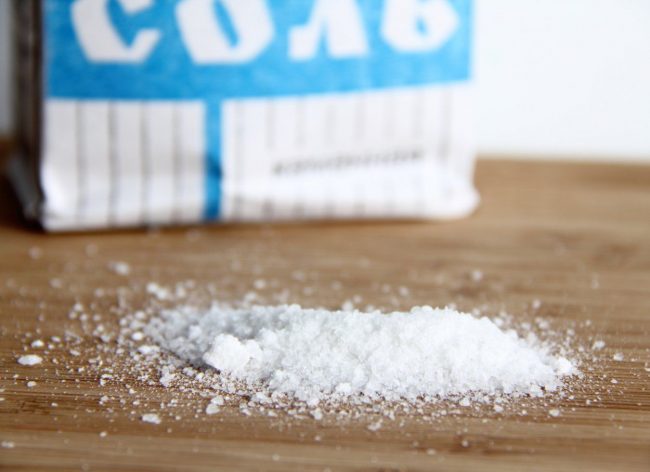 Ein Reinigungsmittel wie Salz findet sich in jeder Küche