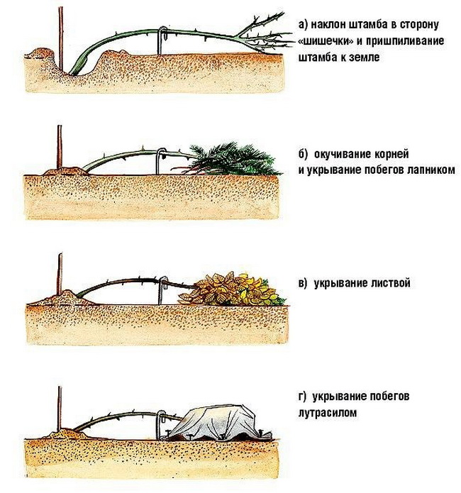 Univerzální schéma přístřešku