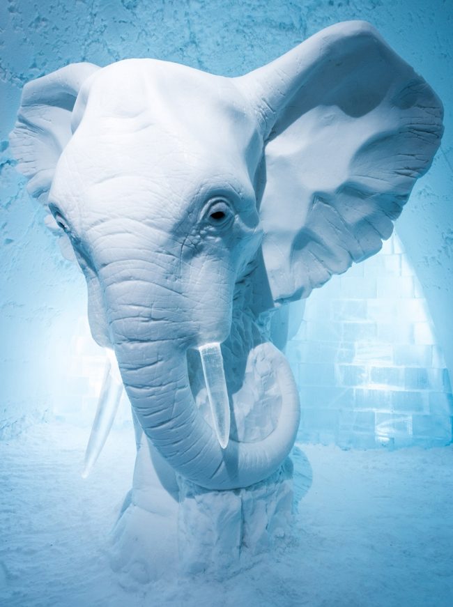 Nádherný slon ze sněhu nikdy nepřestane ohromovat hosty a kolemjdoucí svou krásou