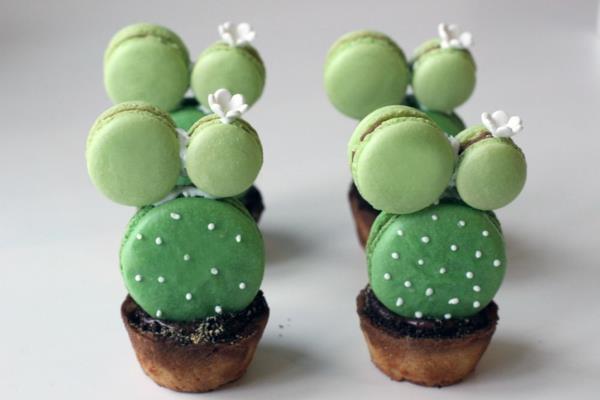 macarons français de cactus