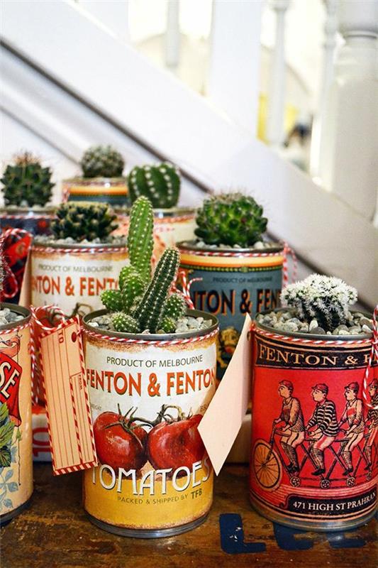 cactus plantes vertes les plus populaires cactus en pot
