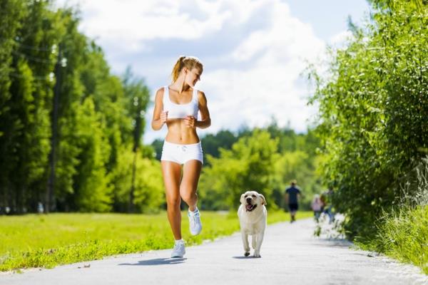 consommation de calories jogging perte de poids saine avec le chien