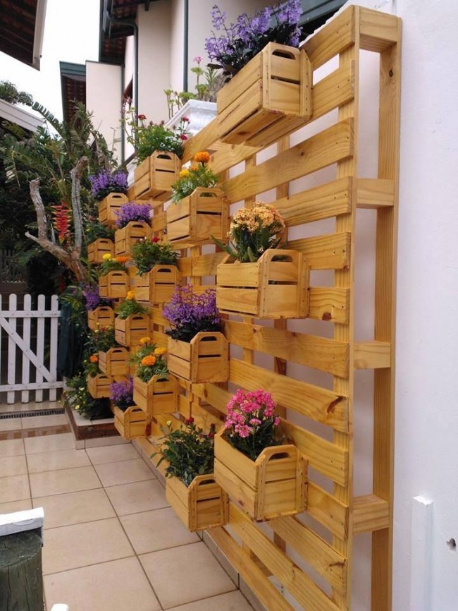 Dřevěná konstrukce se zásuvkami, kde můžete vystavovat květiny v květináčích a užívat si celkový pohled na kvetoucí zeď