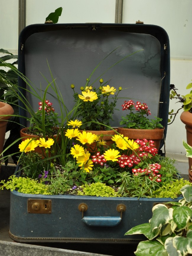 Použití starého kufru jako pouličního květináče je zajímavý nápad.