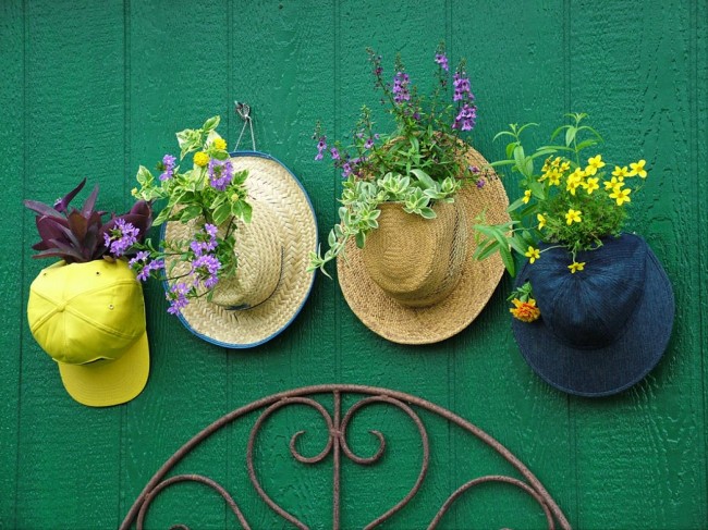 Staré klobouky mohou také sloužit jako sazeče rostlin.