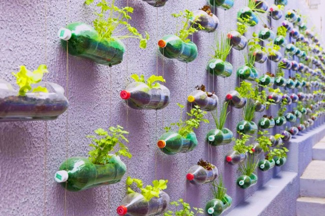 Vertikální zahrada z plastových lahví