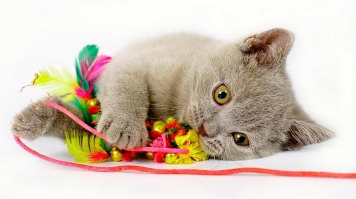 Tinker zabawki dla kotów kolorowe