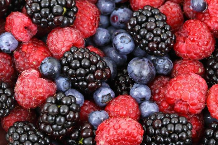 régime cétogène graisses saines acides gras faible teneur en glucides fruits baies framboises mûres myrtilles