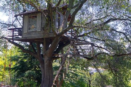 Domki dla dzieci wysoko na drzewie z wąskimi schodami