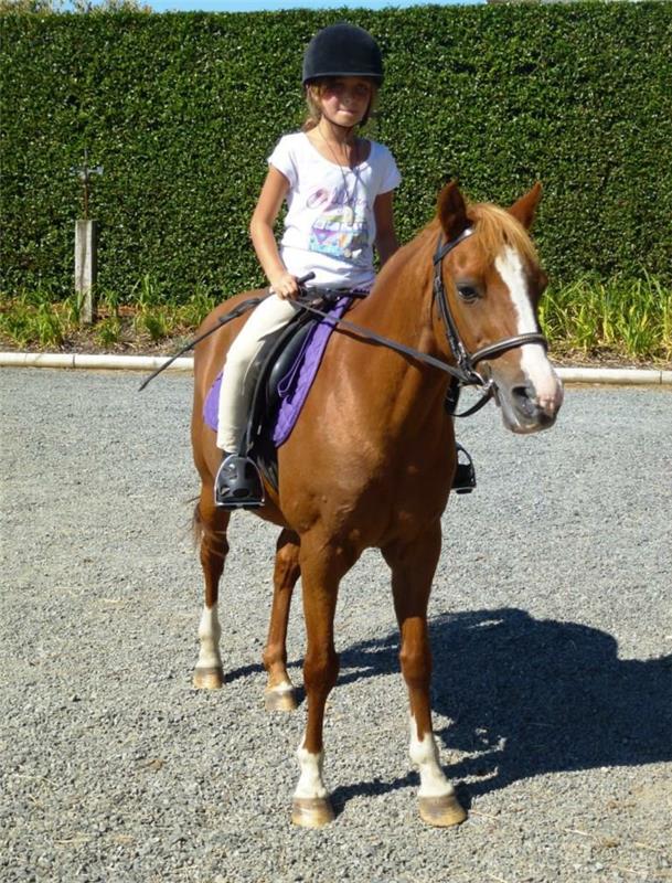 choisir le sport pour enfants équitation fille sports enfants