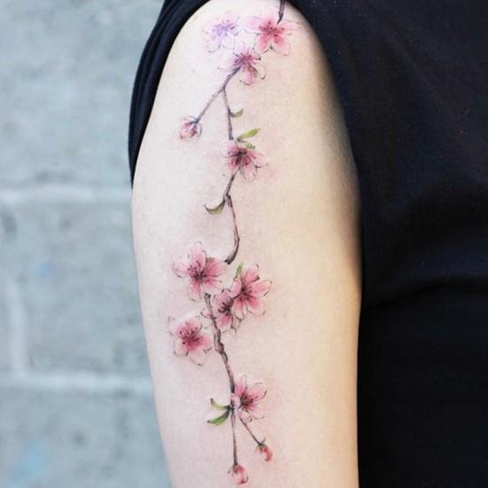 gałąź tatuażu kwiat wiśni na ramieniu