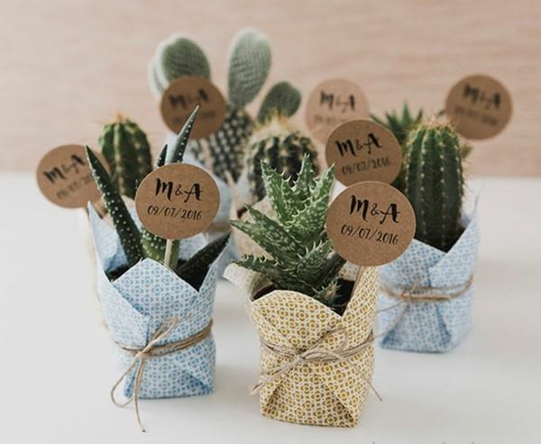 Zrób sobie soczyste wesele z małego kaktusa