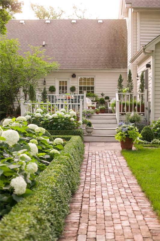 symetria małego ogrodu białe hortensje wyznaczają ścieżkę do domu