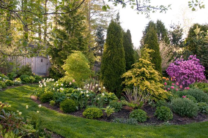 zrobić małe ogrody ciekawą aranżacją w kształcie półkolistym zieloną bujną roślinnością