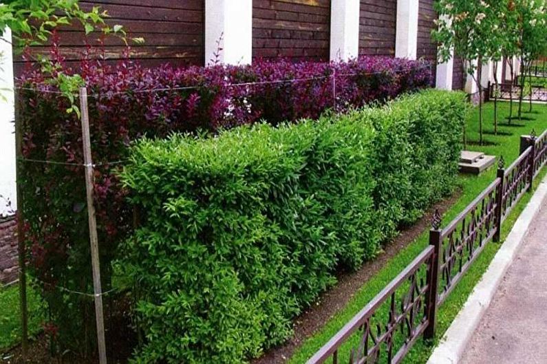 ديكور سياج لمنزل خاص - الصورة