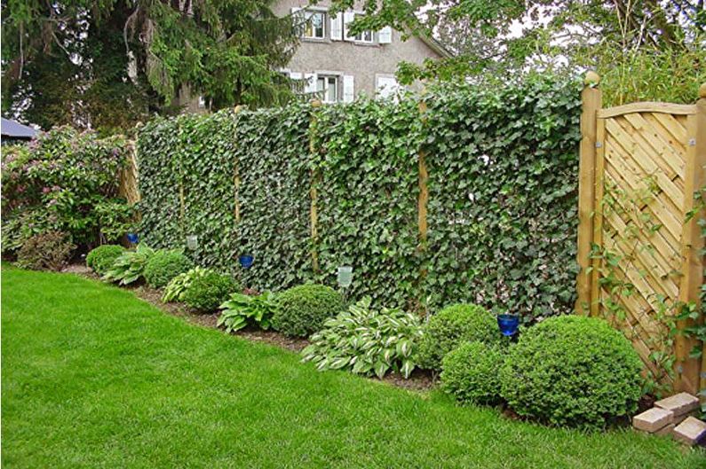 ديكور سياج لمنزل خاص - الصورة