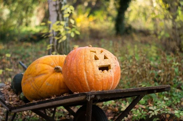 sculptez votre propre citrouille pour halloween