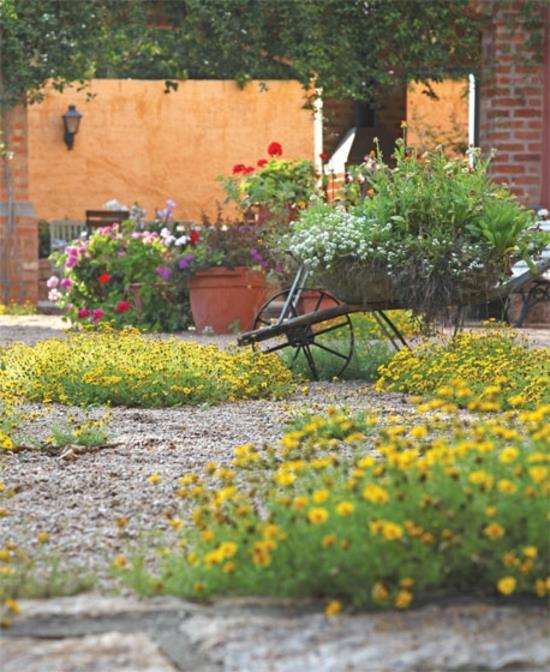 kreatywne pomysły na ogród ogród i zagospodarowanie krajobrazu kwiaty na patio