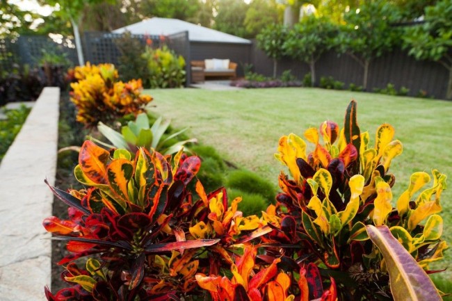 Der Charme der Farben im heimischen Garten