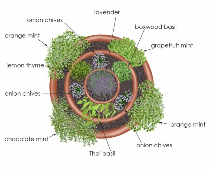 spirale d'herbes pierre petites pierres pleines de fleurs construire des cercles spirale d'herbes