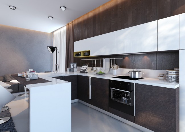 Moderní studiová kuchyně navržená v přísném barevném schématu: tmavě hnědá wenge v kombinaci s bílou a světle šedou
