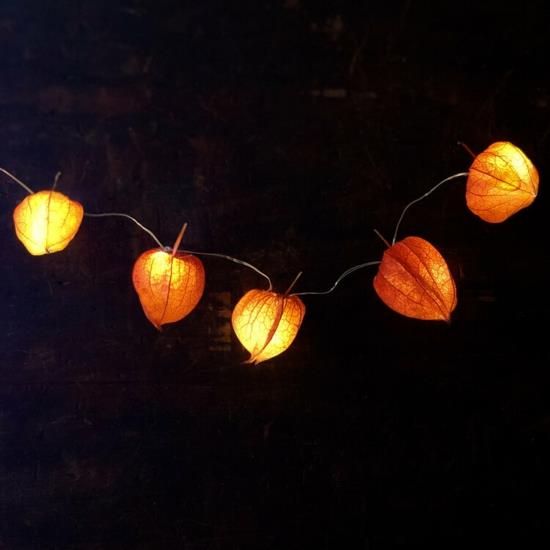 bajkowe światła lampion kwiat physalis