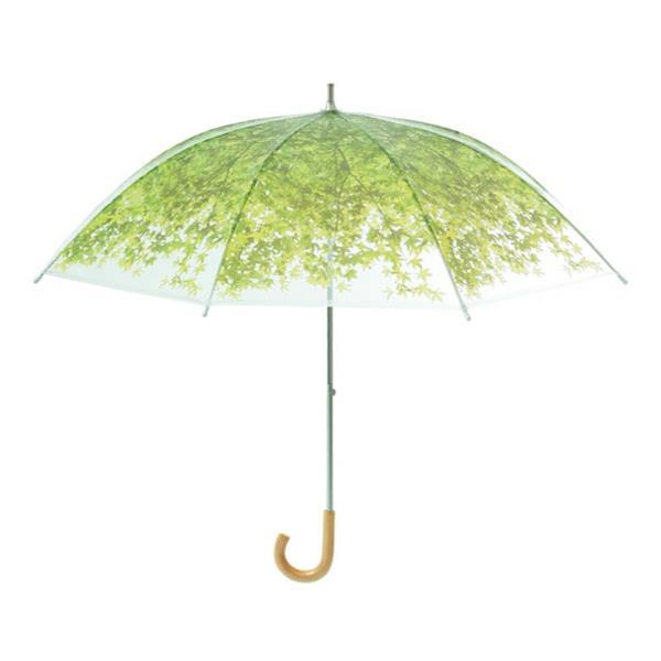 śmieszne parasole zielone łąki