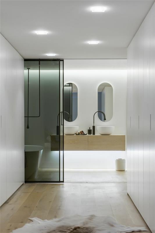 porte coulissante de salle de bain en verre foncé de luxe
