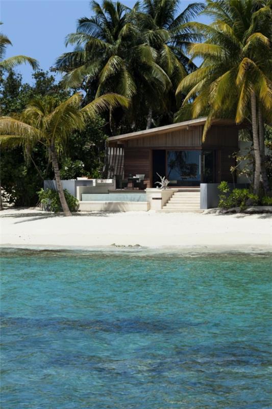 Dom wakacyjny na Malediwach sadząc palmy